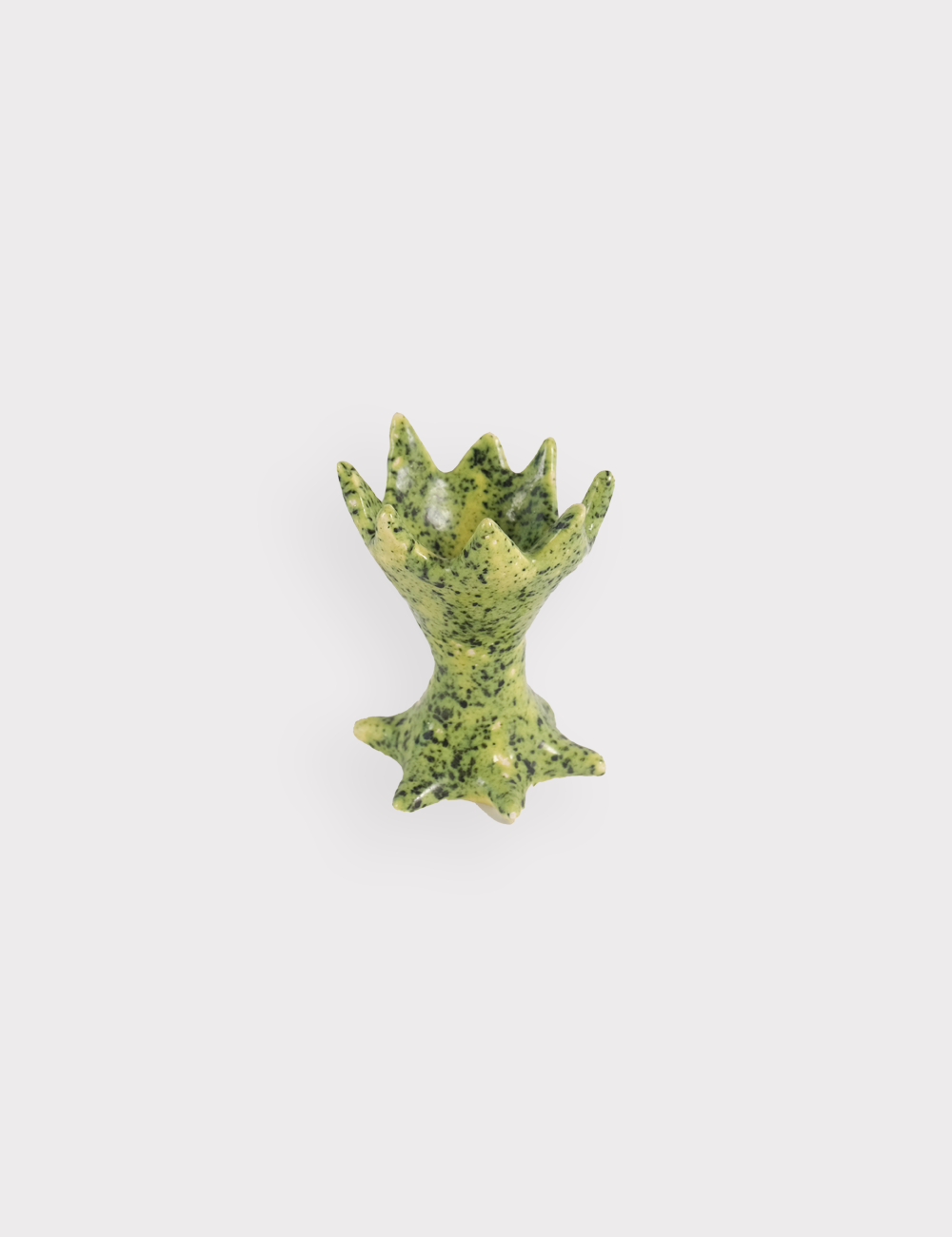 Пашотница зеленая «Доисторическое растение»